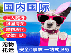 若羌楼兰机场邮寄国际宠物托运 【国